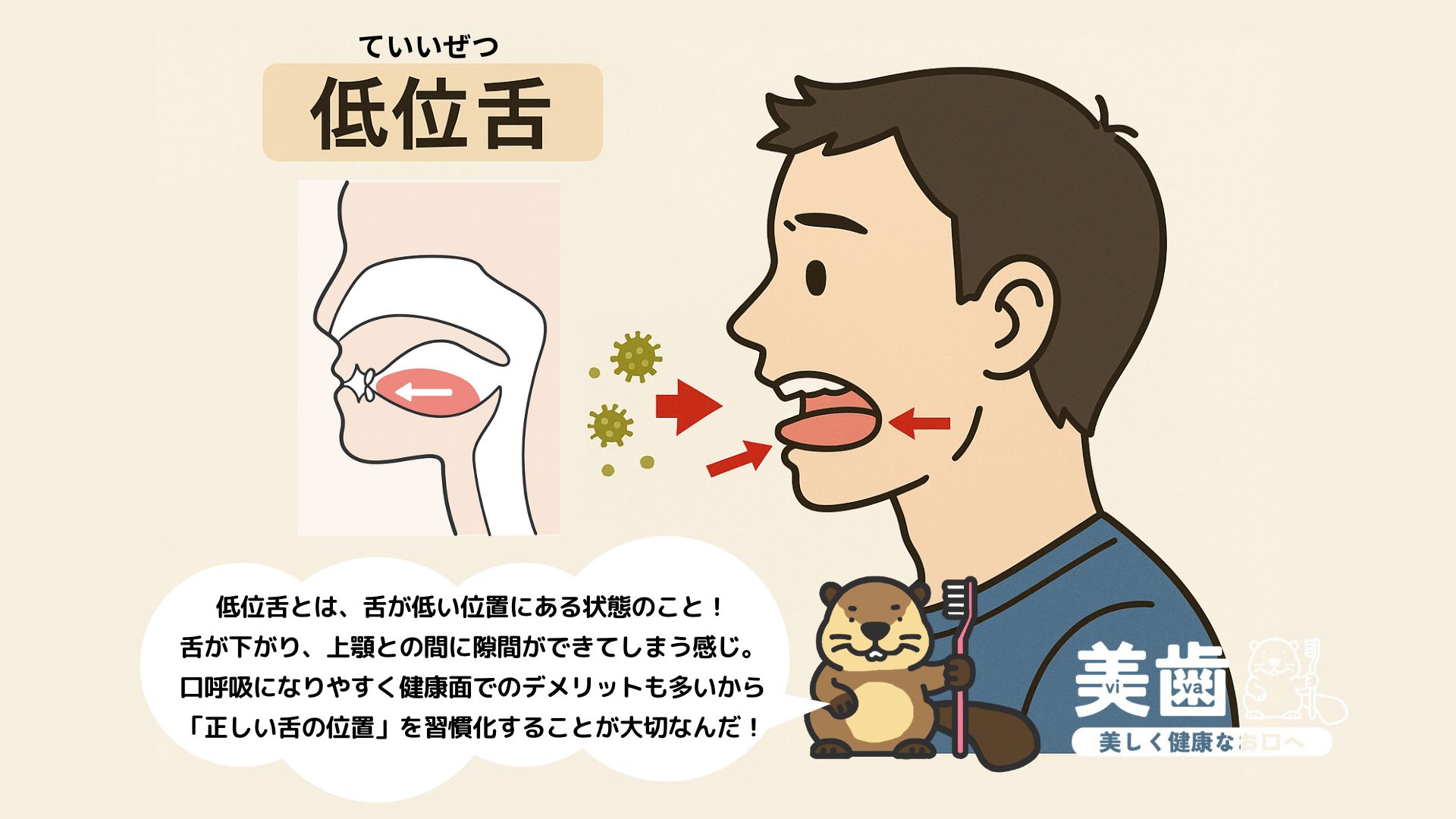 正しい舌の位置はどこ?舌の位置を正す方法・メリットを解説 - 美歯|歯列矯正・ホワイトニング・歯の悩み解決メディア